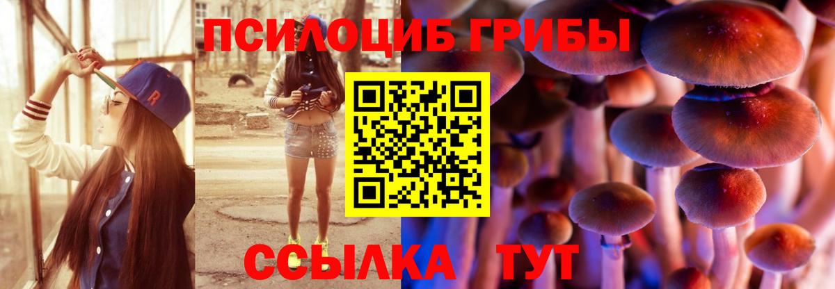 Галлюциногенные грибы мицелий Вольск